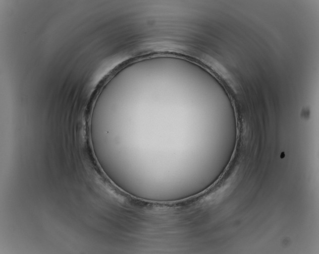 X0000092020782200709271548