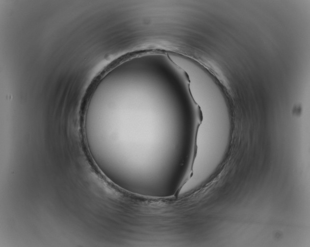 X0000092020784200709271548