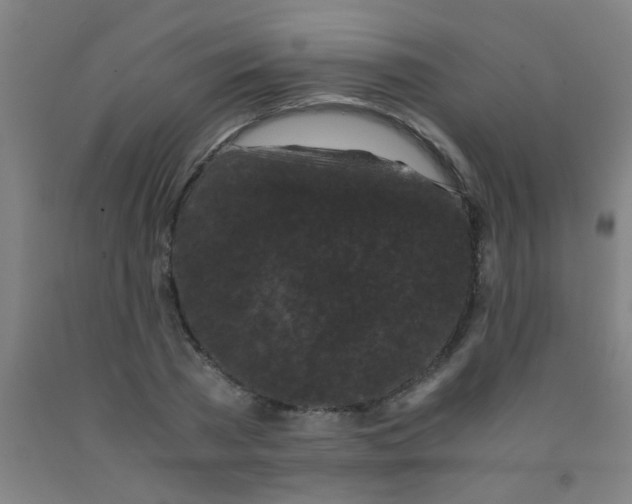 X0000092020785200709271548