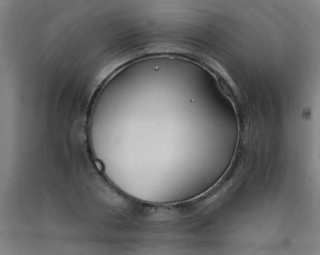 X0000092020786200709271548