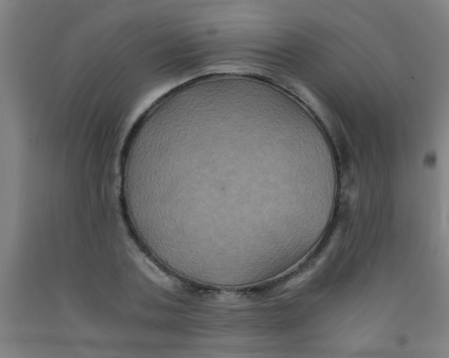 X0000092020787200709271548