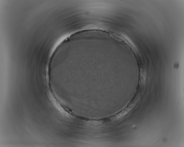 X0000092020788200709271548