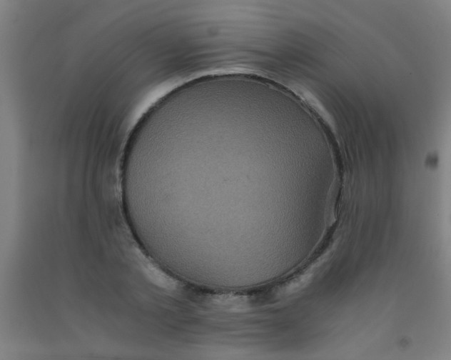 X0000092020789200709271548