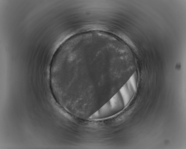 X0000092020790200709271548