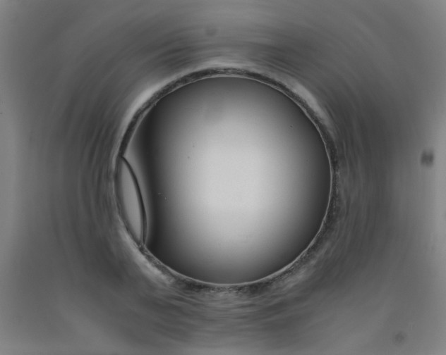 X0000092020791200709271548