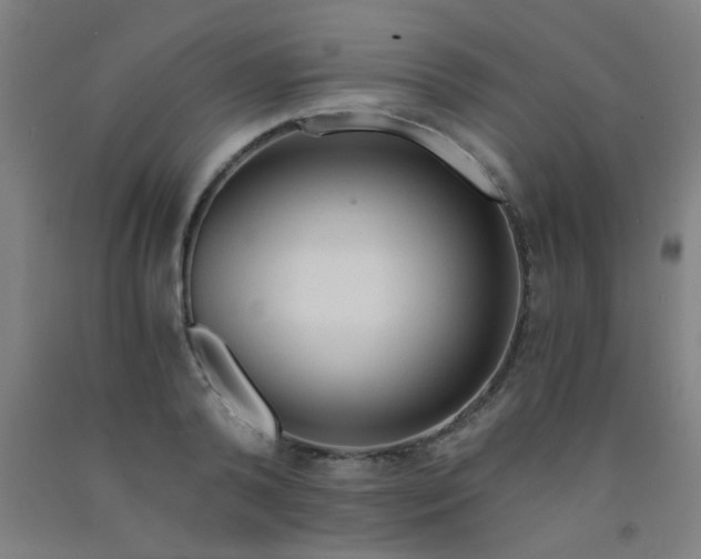 X0000092020792200709271548