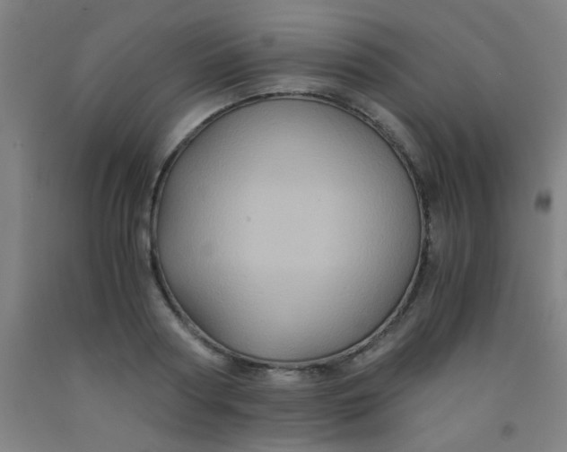 X0000092020794200709271548