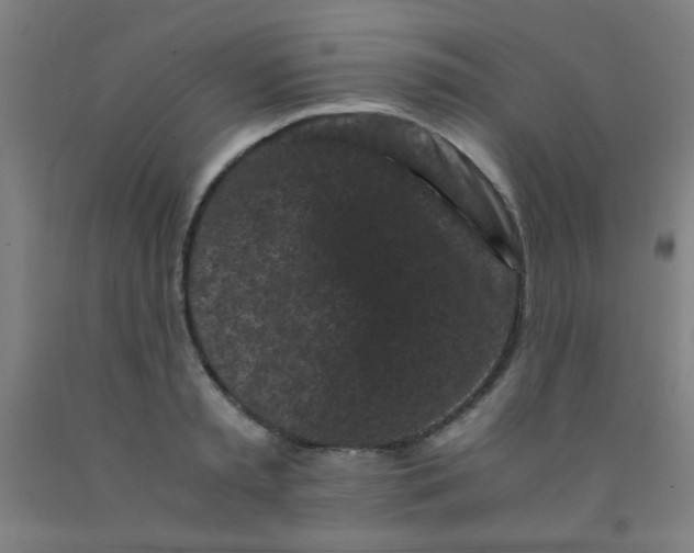 X0000092020797200709271548