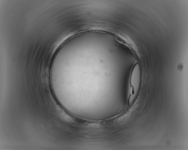 X0000092020798200709271548