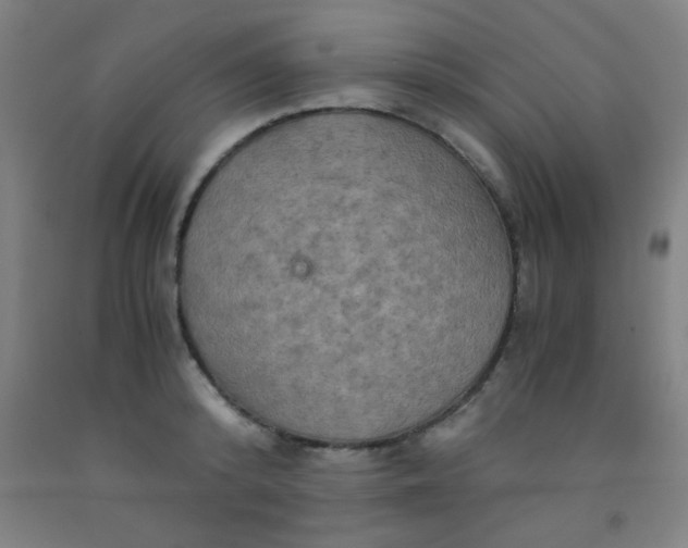 X0000092020800200709271548