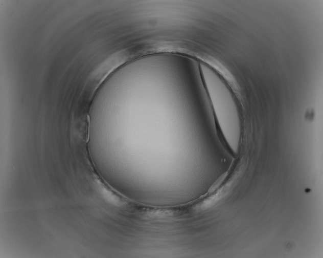 X0000092020801200709271548