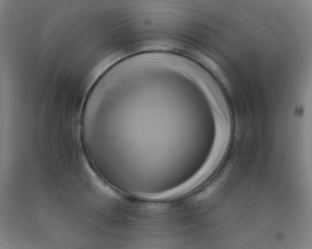 X0000092020802200709271548