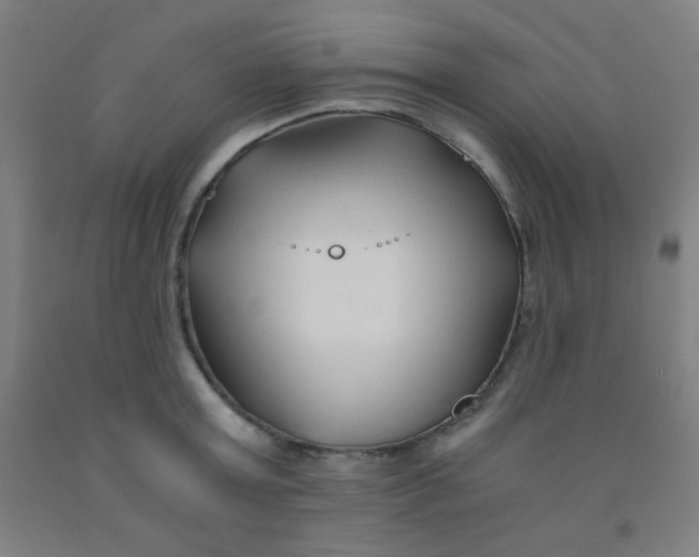 X0000092020803200709271548