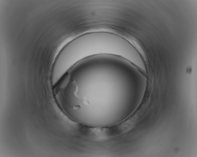 X0000092020805200709271548