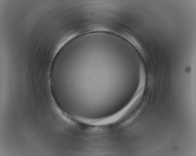 X0000092020806200709271548