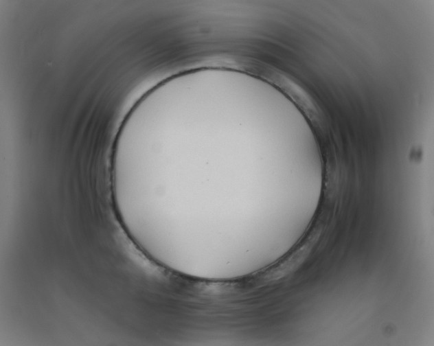 X0000092020808200709271548