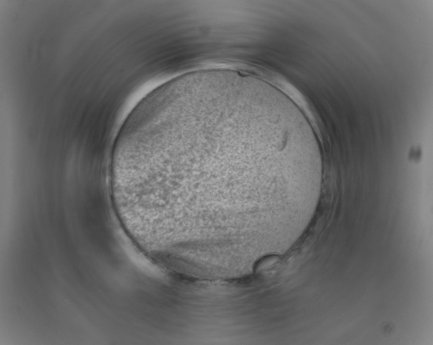 X0000092020811200709271548