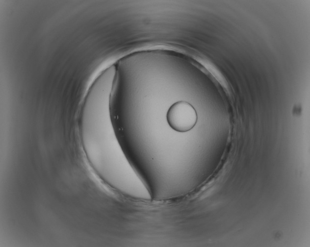 X0000092020813200709271548