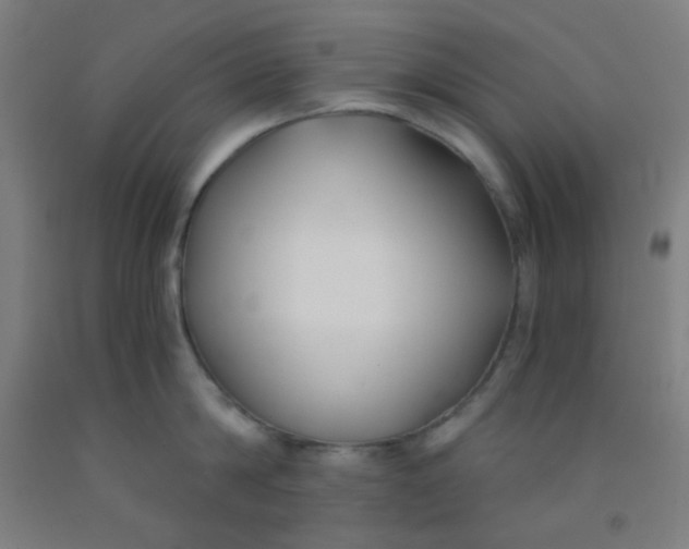 X0000092020814200709271548