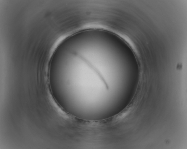 X0000092020815200709271548