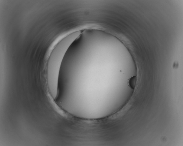 X0000092020816200709271548