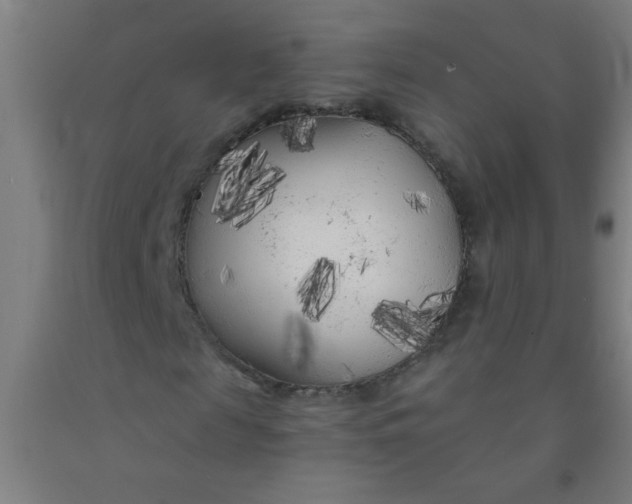 X0000092020817200709271547