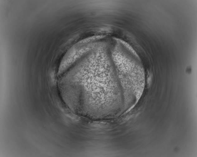 X0000092020819200709271547