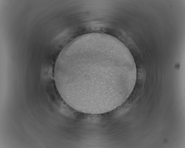 X0000092020820200709271547