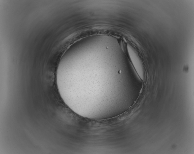 X0000092020821200709271547