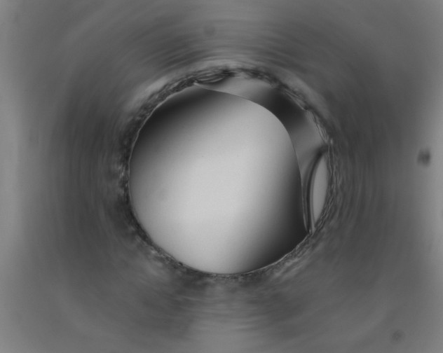 X0000092020822200709271547