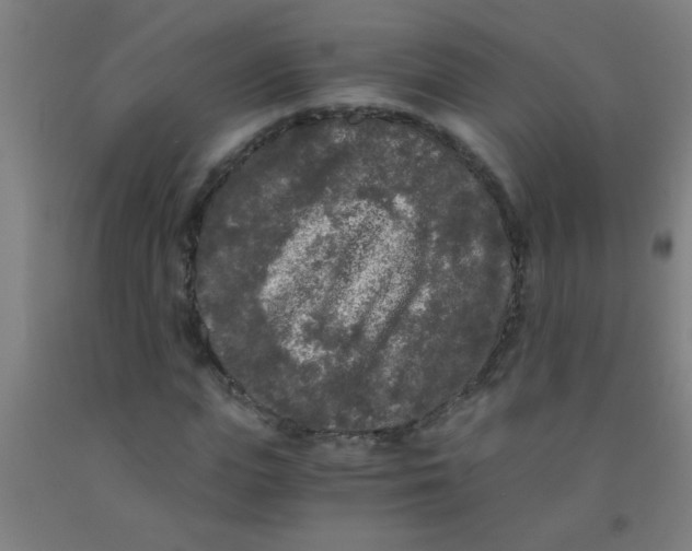 X0000092020823200709271547