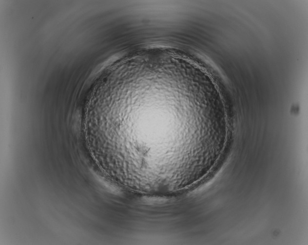 X0000092020825200709271547