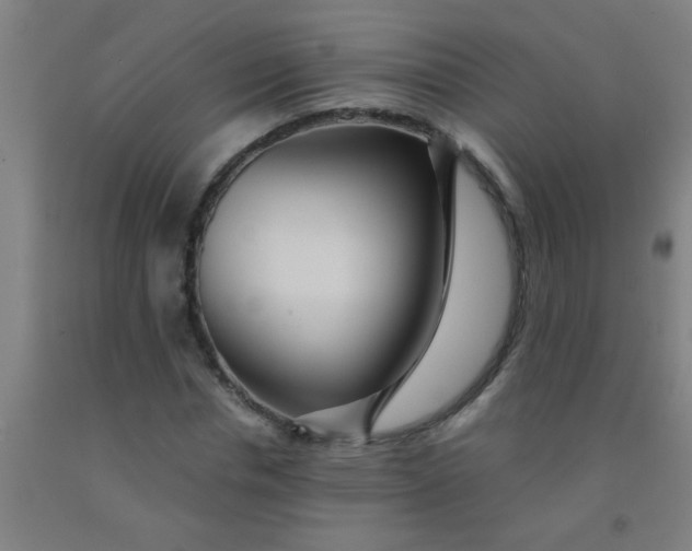 X0000092020826200709271547