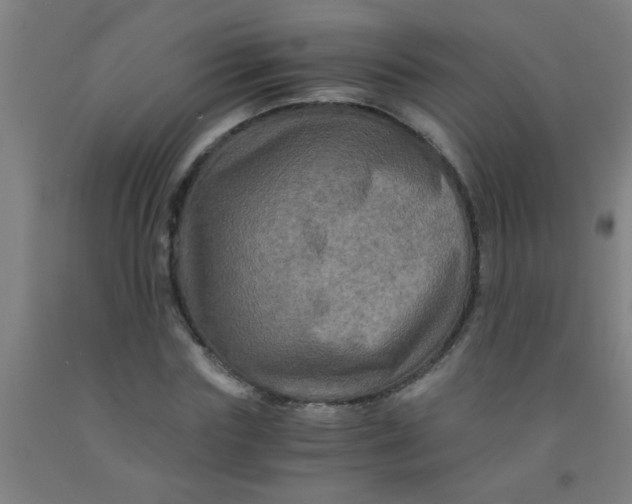 X0000092020827200709271547