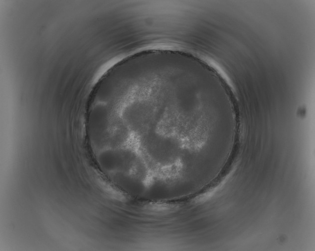 X0000092020829200709271547