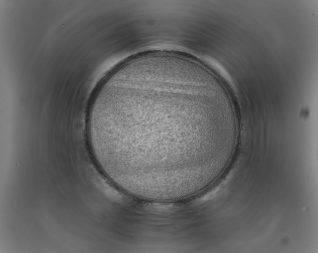 X0000092020831200709271547