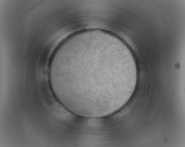 X0000092020832200709271547