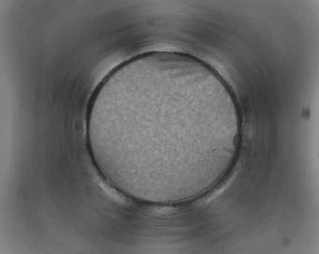 X0000092020837200709271547