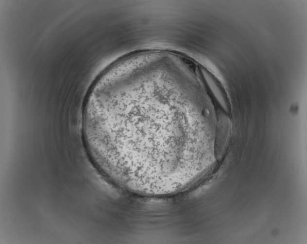 X0000092020839200709271547