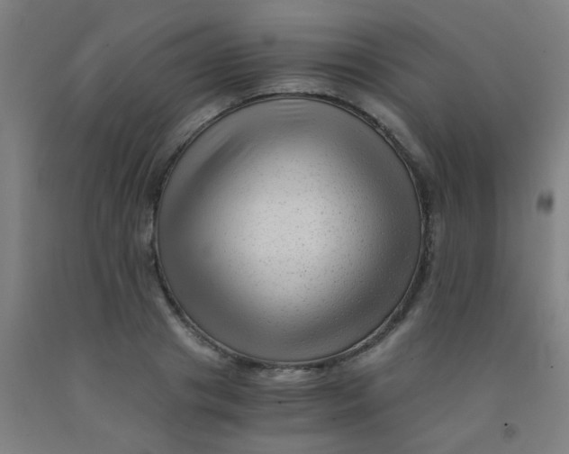 X0000092020841200709271547