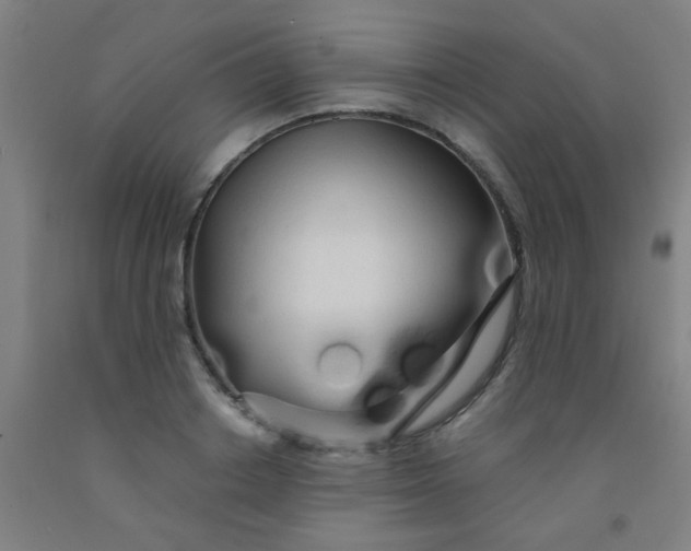 X0000092020842200709271547