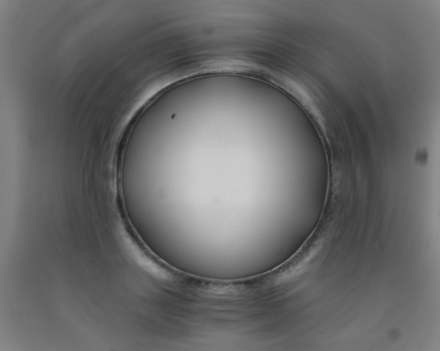 X0000092020843200709271547