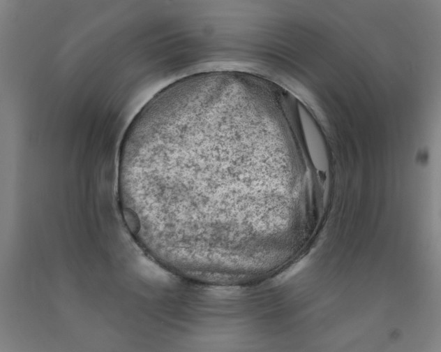 X0000092020844200709271547