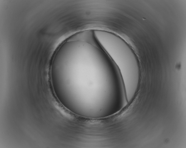 X0000092020846200709271547