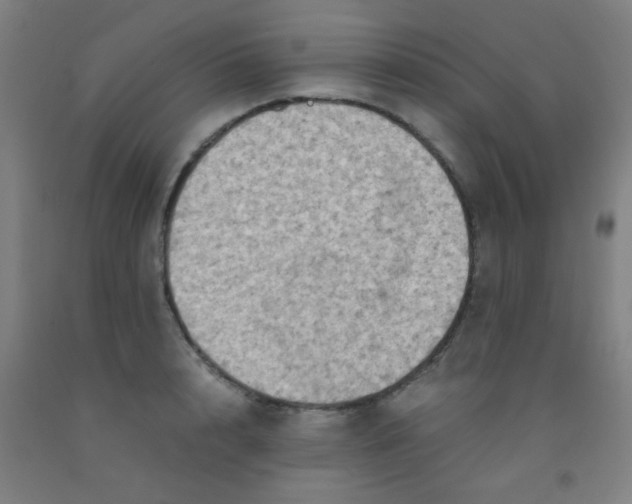 X0000092020848200709271547