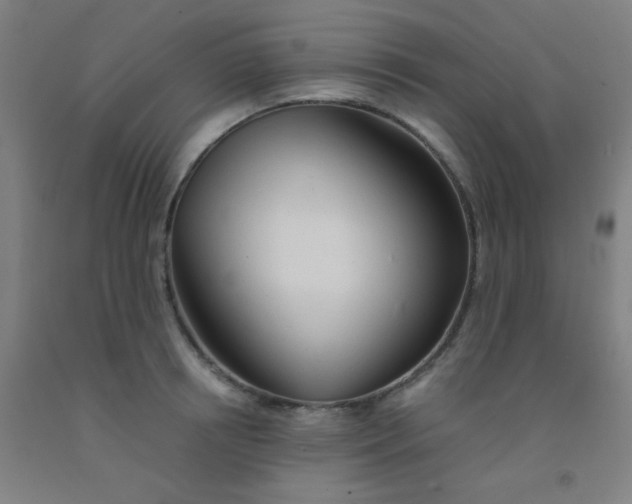 X0000092020850200709271547