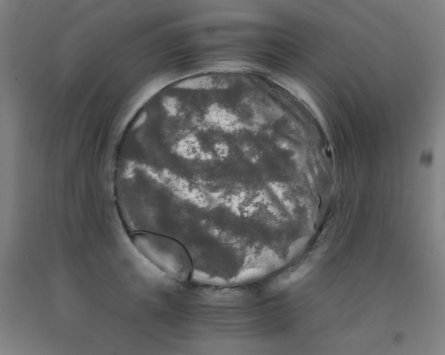 X0000092020851200709271547