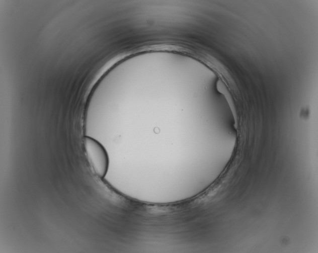 X0000092020852200709271547