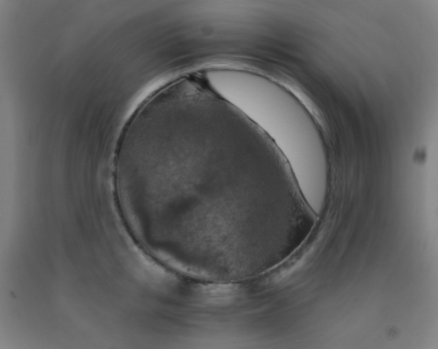 X0000092020853200709271547