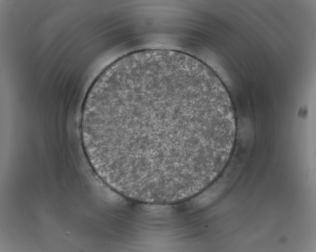 X0000092020856200709271547